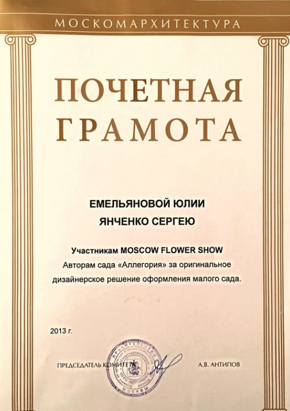 Сертификат 1