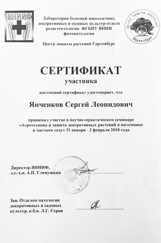 Сертификат 4