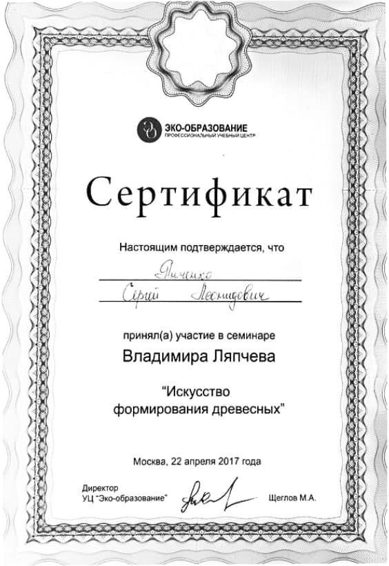 Сертификат 6