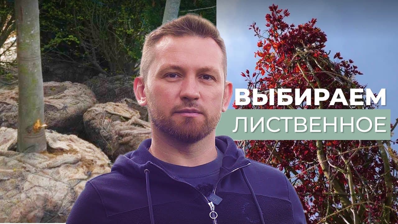 Крупномеры: выбираем лиственное